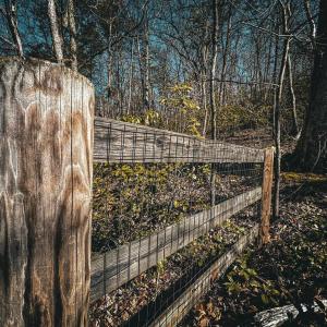 Photo #8 of HIDDEN SPRINGS DR, MARSHALL, VA 6.4 acres