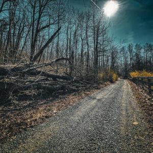 Photo #9 of HIDDEN SPRINGS DR, MARSHALL, VA 6.4 acres