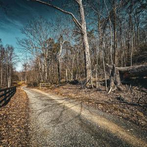 Photo #10 of HIDDEN SPRINGS DR, MARSHALL, VA 6.4 acres