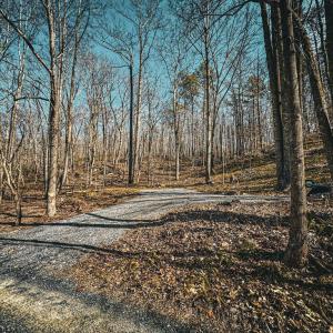 Photo #12 of HIDDEN SPRINGS DR, MARSHALL, VA 6.4 acres