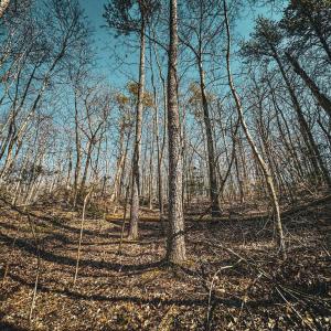 Photo #18 of HIDDEN SPRINGS DR, MARSHALL, VA 6.4 acres
