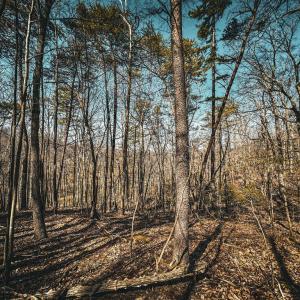 Photo #20 of HIDDEN SPRINGS DR, MARSHALL, VA 6.4 acres