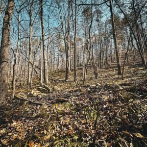 Photo #21 of HIDDEN SPRINGS DR, MARSHALL, VA 6.4 acres