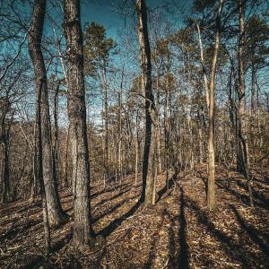 Photo #22 of HIDDEN SPRINGS DR, MARSHALL, VA 6.4 acres