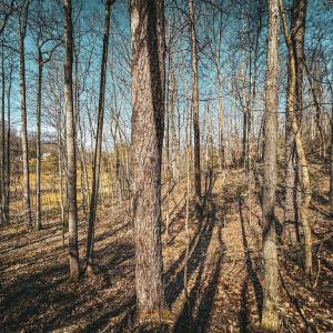 Photo #23 of HIDDEN SPRINGS DR, MARSHALL, VA 6.4 acres