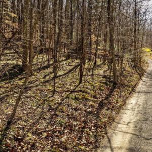 Photo #25 of HIDDEN SPRINGS DR, MARSHALL, VA 6.4 acres