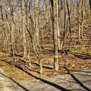 Photo #26 of HIDDEN SPRINGS DR, MARSHALL, VA 6.4 acres