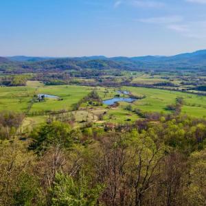 Photo #1 of REDIVIVA LN, WASHINGTON, VA 52.5 acres