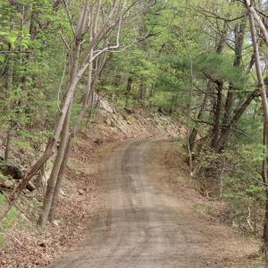 Photo #6 of REDIVIVA LN, WASHINGTON, VA 52.5 acres