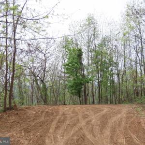 Photo #11 of REDIVIVA LN, WASHINGTON, VA 52.5 acres