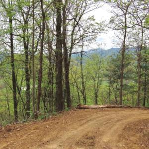 Photo #7 of REDIVIVA LN, WASHINGTON, VA 52.5 acres