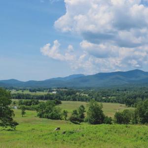 Photo #9 of REDIVIVA LN, WASHINGTON, VA 52.5 acres