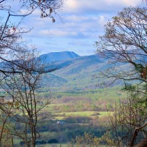 Photo #1 of REDIVIVA LN, WASHINGTON, VA 52.5 acres