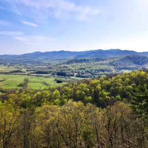 Photo #5 of REDIVIVA LN, WASHINGTON, VA 52.5 acres