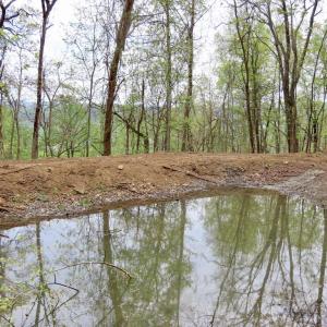 Photo #9 of REDIVIVA LN, WASHINGTON, VA 52.5 acres