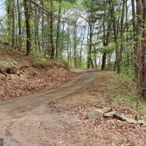 Photo #6 of REDIVIVA LN, WASHINGTON, VA 52.5 acres