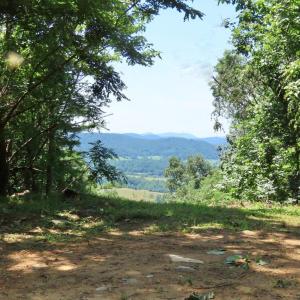 Photo #2 of REDIVIVA LN, WASHINGTON, VA 52.5 acres