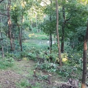 Photo #4 of REDIVIVA LN, WASHINGTON, VA 52.5 acres