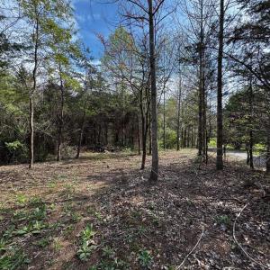 Photo #1 of 0 CASTLETON FORD, CASTLETON, VA 8.9 acres