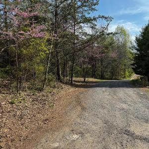 Photo #4 of 0 CASTLETON FORD, CASTLETON, VA 8.9 acres