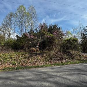 Photo #7 of 0 CASTLETON FORD, CASTLETON, VA 8.9 acres