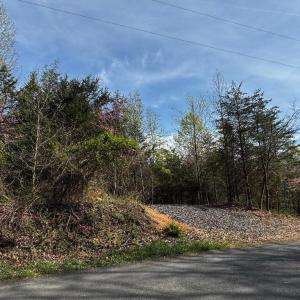 Photo #8 of 0 CASTLETON FORD, CASTLETON, VA 8.9 acres