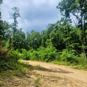 Photo #4 of US HWY 340 GALLOWAY SPRINGS, STANLEY, VA 32.0 acres