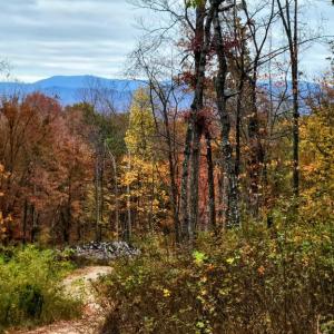 Photo #6 of US HWY 340 GALLOWAY SPRINGS, STANLEY, VA 32.0 acres