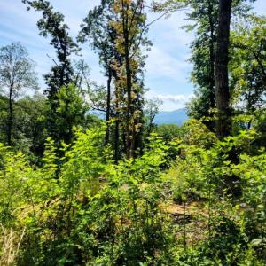 Photo #3 of US HWY 340 GALLOWAY SPRINGS, STANLEY, VA 32.0 acres