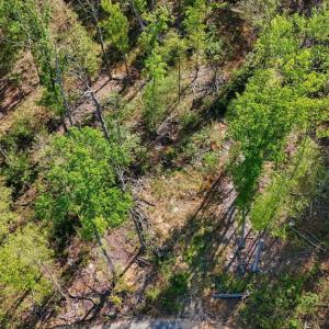 Photo #8 of US HWY 340 GALLOWAY SPRINGS, STANLEY, VA 32.0 acres