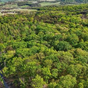 Photo #9 of US HWY 340 GALLOWAY SPRINGS, STANLEY, VA 32.0 acres