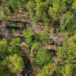 Photo #10 of US HWY 340 GALLOWAY SPRINGS, STANLEY, VA 32.0 acres