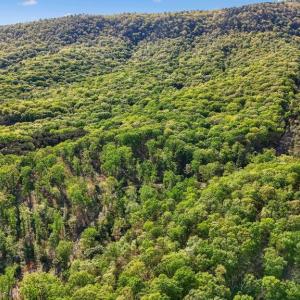 Photo #1 of US HWY 340 GALLOWAY SPRINGS, STANLEY, VA 32.0 acres