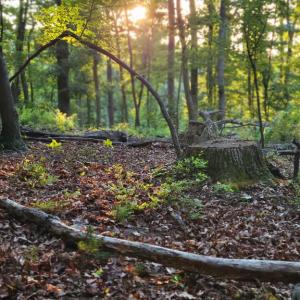 Photo #7 of US HWY 340 GALLOWAY SPRINGS, STANLEY, VA 32.0 acres
