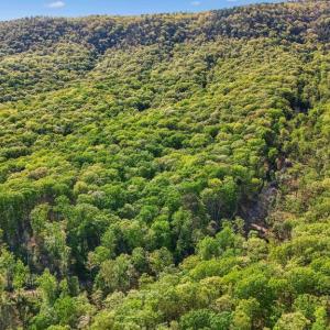 Photo #12 of US HWY 340 GALLOWAY SPRINGS, STANLEY, VA 32.0 acres