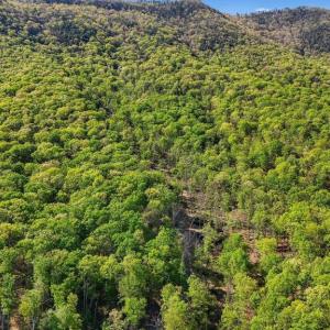 Photo #16 of US HWY 340 GALLOWAY SPRINGS, STANLEY, VA 32.0 acres
