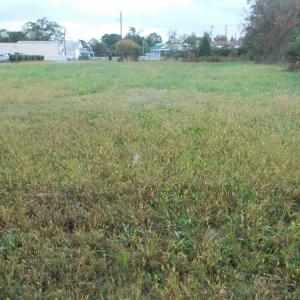 Photo #12 of 713 Broad, Edenton, NC 1.9 acres