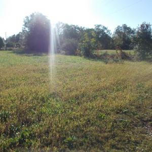 Photo #7 of 713 Broad, Edenton, NC 1.9 acres