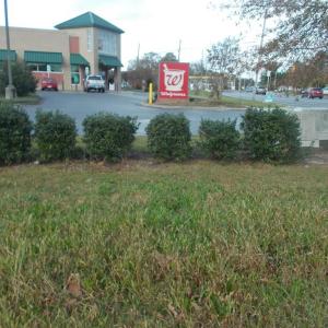 Photo #17 of 713 Broad, Edenton, NC 1.9 acres