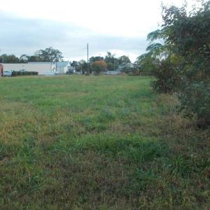 Photo #19 of 713 Broad, Edenton, NC 1.9 acres