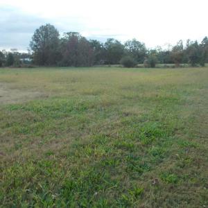 Photo #16 of 713 Broad, Edenton, NC 1.9 acres