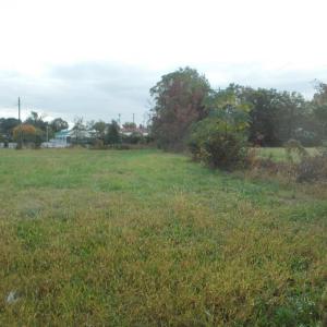 Photo #11 of 713 Broad, Edenton, NC 1.9 acres