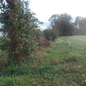 Photo #18 of 713 Broad, Edenton, NC 1.9 acres