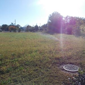 Photo #28 of 713 Broad, Edenton, NC 1.9 acres