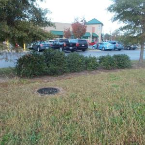 Photo #13 of 713 Broad, Edenton, NC 1.9 acres