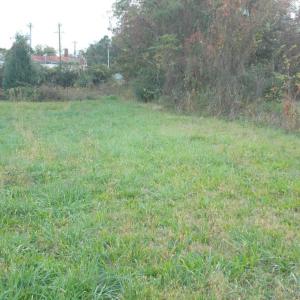 Photo #25 of 713 Broad, Edenton, NC 1.9 acres