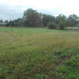 Photo #15 of 713 Broad, Edenton, NC 1.9 acres