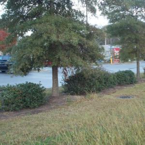 Photo #26 of 713 Broad, Edenton, NC 1.9 acres