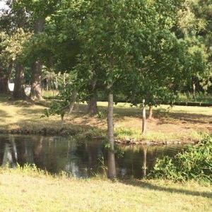 Photo #13 of 215 Dances Bay, Elizabeth City, NC 1.6 acres