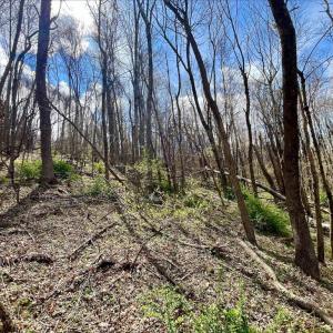 Photo #8 of HILLSIDE DR., STANLEY, VA 3.0 acres